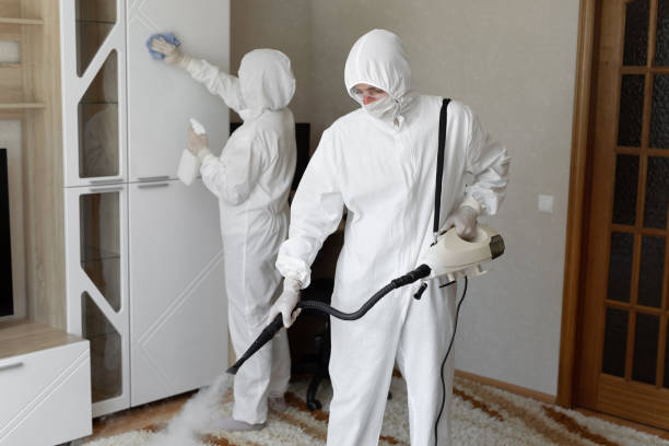 Trusted Sewage Cleanup service in Westville, IL - Four Month Blood Cleanse